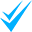 Double Checkmark Icon