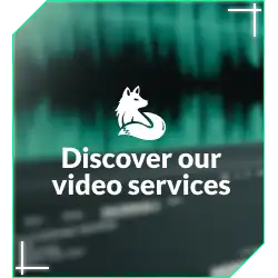 An image representing the video services of Goupil Technology